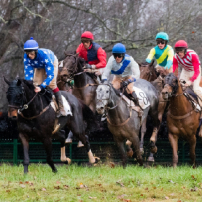 'Magnificent Racehorses' to attract new fans (Image credit - flickr / MBandman)