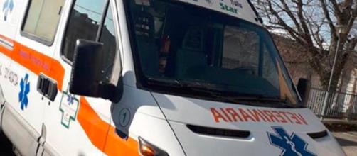 Varese, nasce la prima ambulanza veterinaria, attiva 24 ore su 24