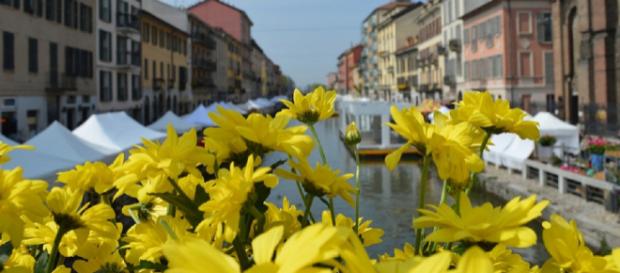 Fiori e Sapori: mostra mercato domenica 14 aprile Fiori e Sapori: mostra mercato domenica 14 aprile