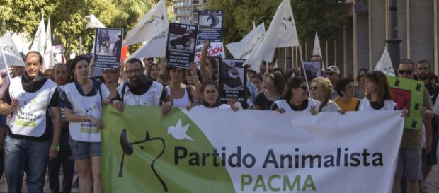PACMA lograría escaños en el Congreso de los Diputados PACMA lograría escaños en el Congreso de los Diputados