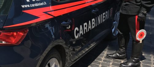 Roma, bosniaco picchia un cane per strada e poi aggredisce i carabinieri, arrestato