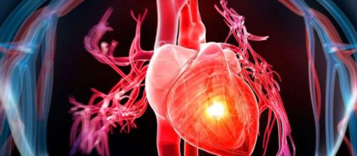 Una nuova ricerca sul possibile recupero del cuore post infarto