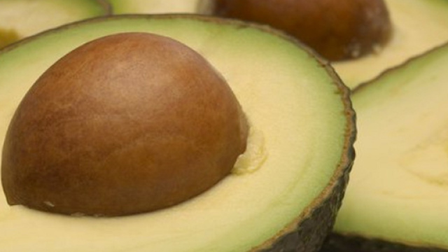 L'avocado sostituito ai carboidrati della dieta aiuta a controllare il metabolismo, la fame e il peso corporeo. (Canva)