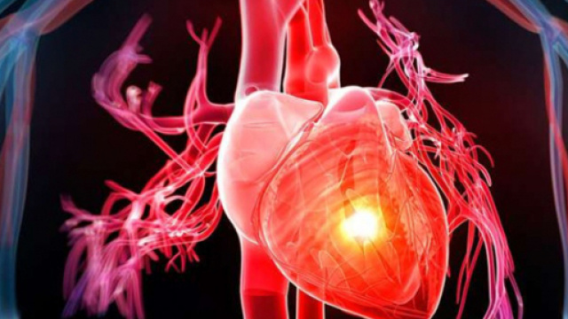 Una nuova ricerca sul possibile recupero del cuore post infarto