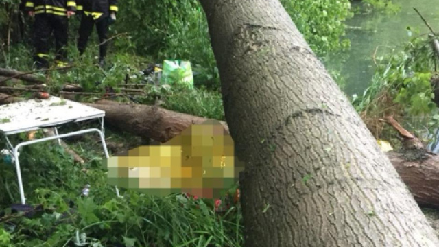 Maltempo, due morti nel bresciano: pescatori travolti da un albero