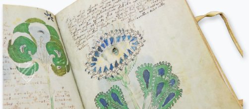 Decifrato il manoscritto 'Voynich': è scritto in una lingua romanza e contiene cure erboristiche e un oroscopo