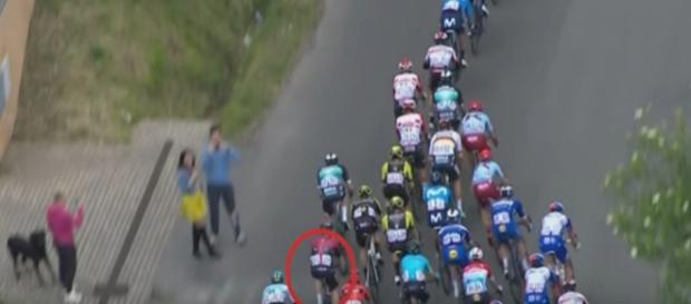 Salvatore Puccio causa la caduta che è costata il ritiro a Tom Dumoulin Salvatore Puccio causa la caduta che è costata il ritiro a Tom Dumoulin