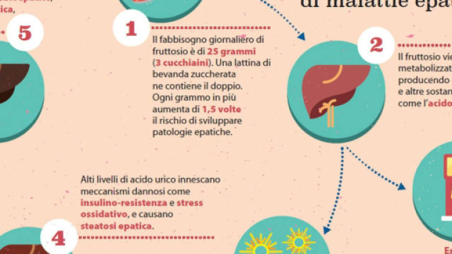 Consumo di alcool: l'ultima ricerca dell'Istat - mediaset.it