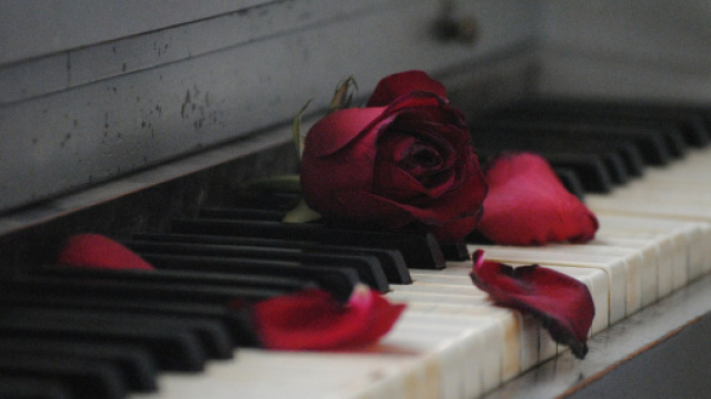 L'oroscopo dell'amore di coppia, 20 maggio.