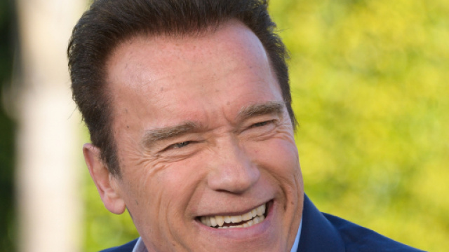 Arnold Schwarzenegger colpito con un calcio alle spalle durante una manifestazione.