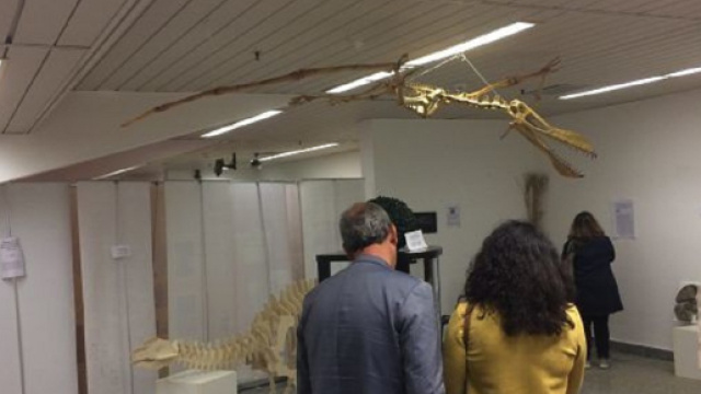 Mostra Akrasuro Agrigento in sicilia