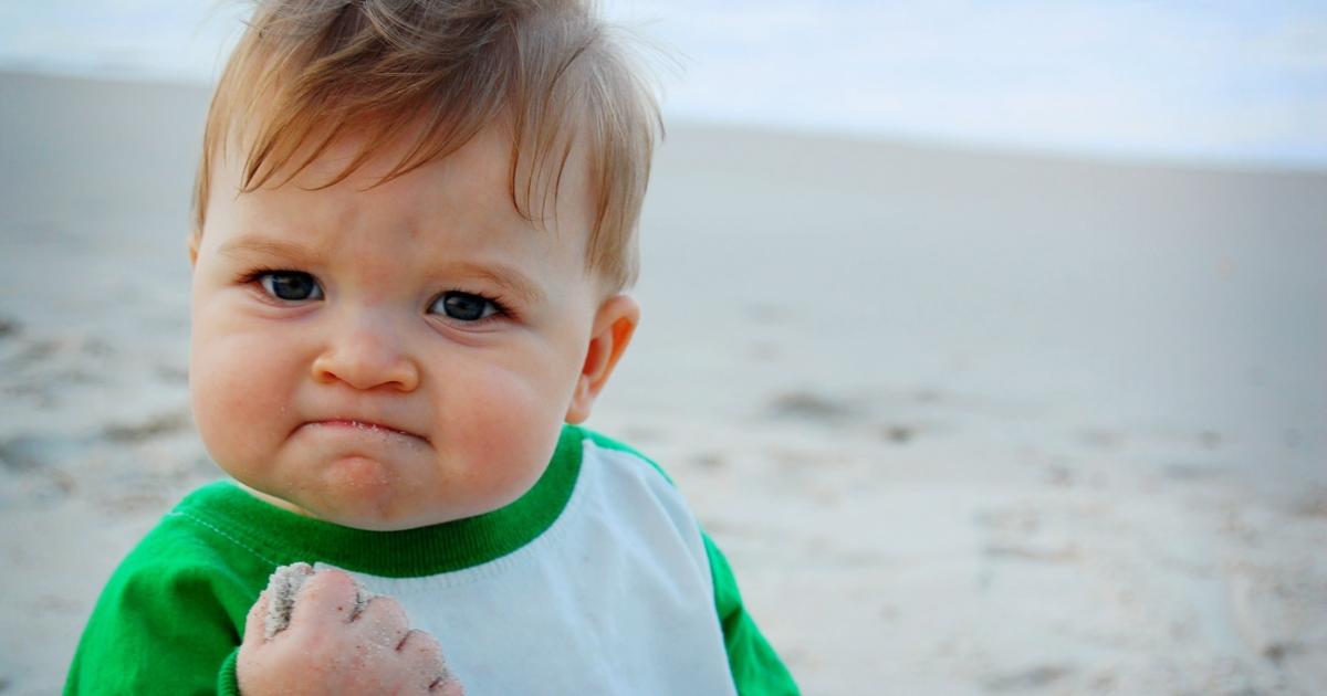 10 memes virales que puedes encontrar en red