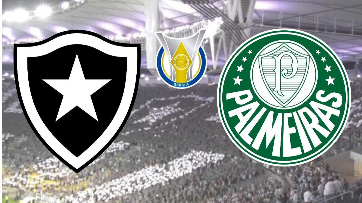 Resultado de imagem para Botafogo x Palmeiras