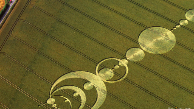 Cerchi nel Grano: apparsi a Casette di Rinaldo - saltoquantico.net