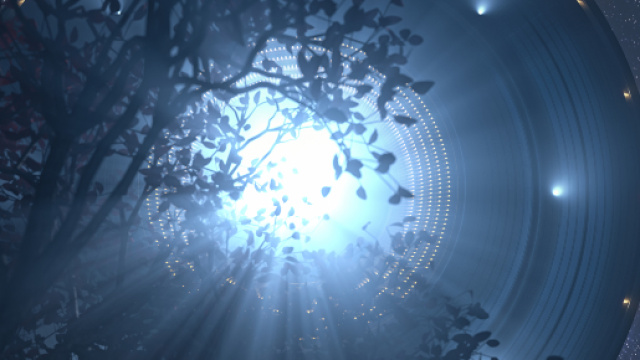 Usa, oggetti voltanti non identificati nei cieli della Florida