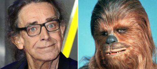 Peter Mayhew: Chewbecca di Star Wars è morto a 74 anni - sky.com