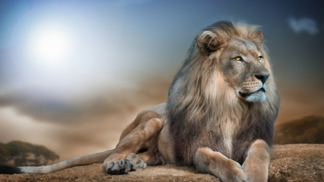 Oroscopo di domani 6 giugno 2019 | Astrologia, classifica e previsioni: la Luna entra in Leone