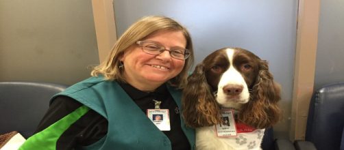 Murphy, il cane da terapia addestrato per far sentire meglio i pazienti