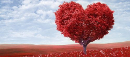 Oroscopo, classifica sull'amore di giugno: Capricorno e Cancro sulle note dell'amore