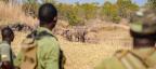 Photogallery - British soldier killed by elephant in anti-poaching operation in Malawi