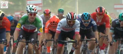 Elia Viviani in maglia tricolore