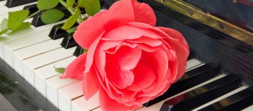 Musica ad un funerale: rosa poggiata su pianoforte