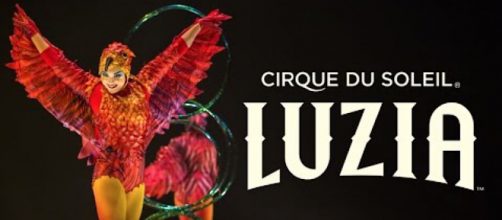 'Luzia' by Cirque du Soleil is an absolutely dazzling show. / Image via Cirque du Soleil, used with permission.