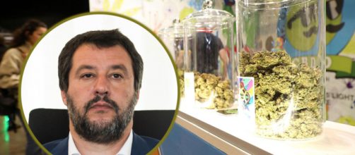 Matteo Salvini dichiara guerra alla cannabis e scatena la rivolta sui social