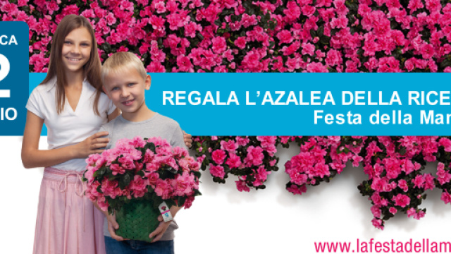 Airc, domenica in piazza torna l'Azalea della Ricerca