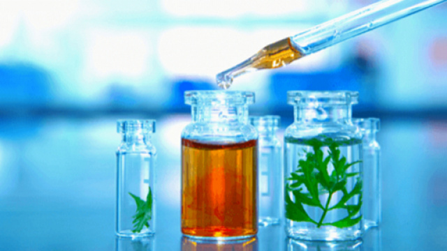 Alcuni nutraceutici hanno confermato un'azione dimagrante negli studi clinici.