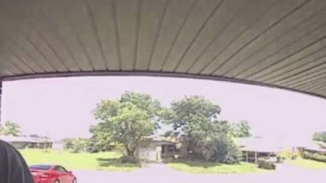 Usa, apre la porta di casa e viene morso da un serpente in pieno viso: salvato dai medici