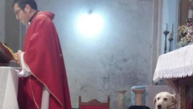 Parroco celebra la Santa Messa con un bellissimo cane alle sue spalle.