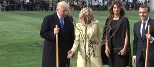 Trumps, Macrons plant French tree at White House. [Image Source/AP archive YouTube Video]