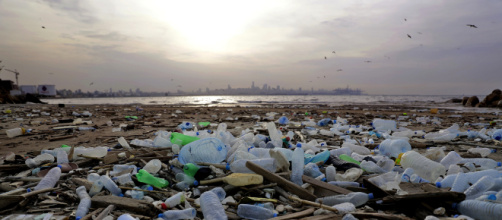 Pacifique : le continent de plastique fait trois fois la taille de ... - rtl.fr
