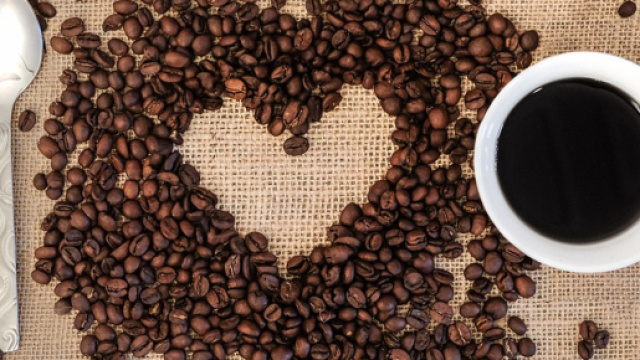 Oroscopo 17 giugno: l'amore torna protagonista per Gemelli e Leone