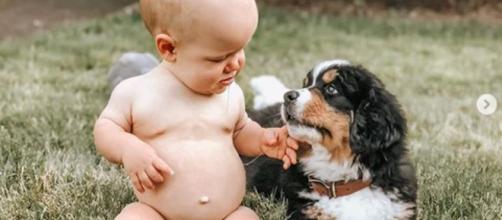 'LPBW's' baby Jackson grew up with his dog Murphy - Image credit - Tori Roloff | Instagram