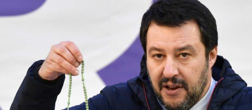 Matteo Salvini candidato a premio nobel per la pace: la proposta di Afd