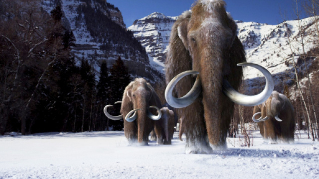 Nasce lo zoo degli animali estinti? Possibile con il ... - ilsole24ore.com