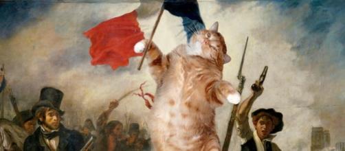 Insolite 5 Chats Qui S Incrustent Dans Des Tableaux Connus