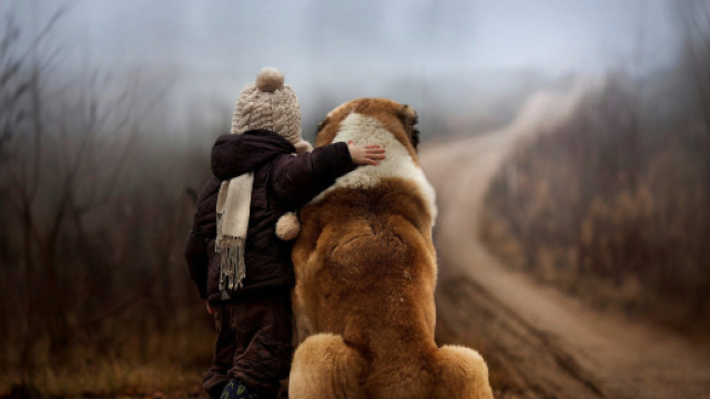 Télécharger 1920x1080 Enfant Et Chien Amitié Fond d'écran HD - fondsecran.eu