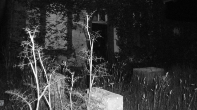 La Maison Glauque | Tempus Fugit - tempus-fugit.fr