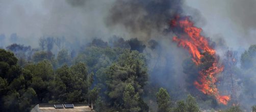Se organiza una campaña para ayudar a un ganadero afectado por los incendios en Tarragona