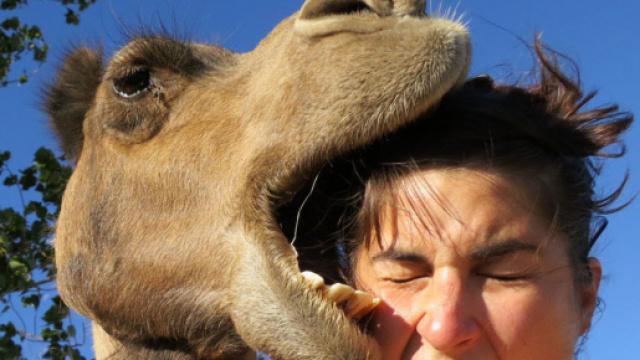 Photos prises au bon moment - Publiée par Ohmymag