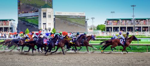 The Kentucky Derby is a Grade I stakes race for the three-year-old thoroughbred horses. [Image Source: Kentucky Derby GPA Photo Archive/Flickr ]