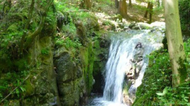 Cascate di Cittigli, scivola e cade mentre si fa un selfie: Matteo muore a 23 anni
