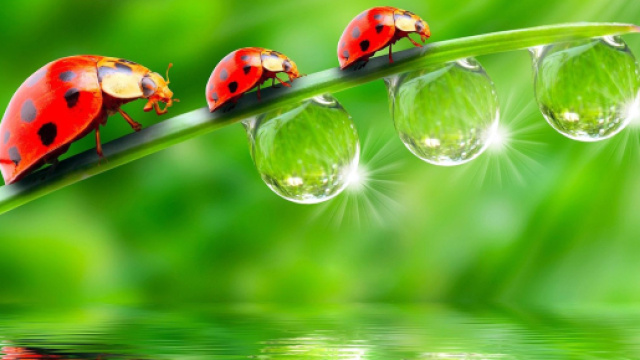 Previsioni oroscopo lunedì 22 luglio 2019