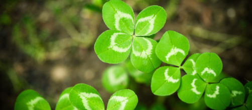 Previsioni oroscopo mercoledì 24 luglio 2019