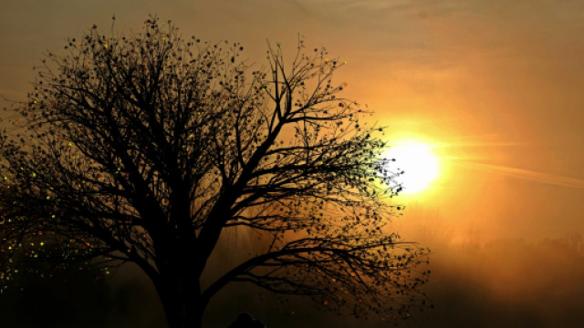 L'oroscopo dell'amore di coppia, 19 luglio.