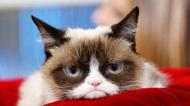 WE ARE SOCIAL ASIA TUESDAY TUNE UP #363 - We Are Social Singapore - wearesocial.com