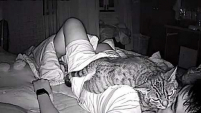 Un chat dort sur le visage de son maitre - photo publi&eacute;e par Ohmymag